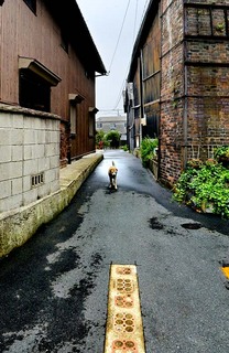 koga_060708_022.jpg