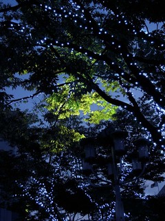 koga_071120_102.jpg