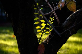 koga_081112_011.jpg