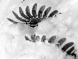 koga_110117_0266.jpg