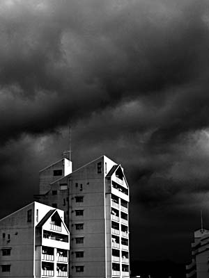 koga_110126_025.jpg