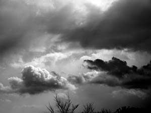 koga_110127_034.jpg
