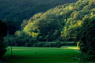 koga_110717_234.jpg