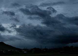 koga_110720_103.jpg