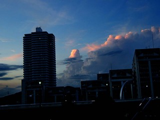koga_110826_047.jpg