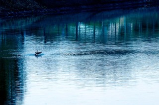 koga_111028_015.jpg