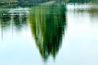 koga_111028_017.jpg