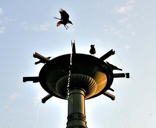koga_111029_086.jpg