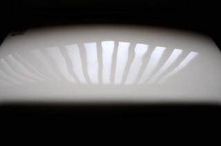 koga_111111_049.jpg