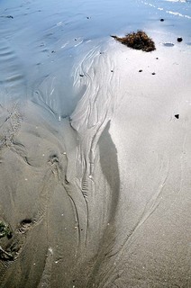 koga_111113_004.jpg