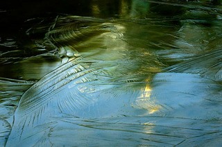 koga_120108_035.jpg
