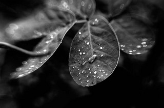 koga_120914_0019b.jpg